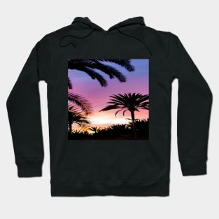 Silhouette of Palm Trees Hoodie